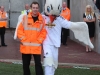swansea v burnley